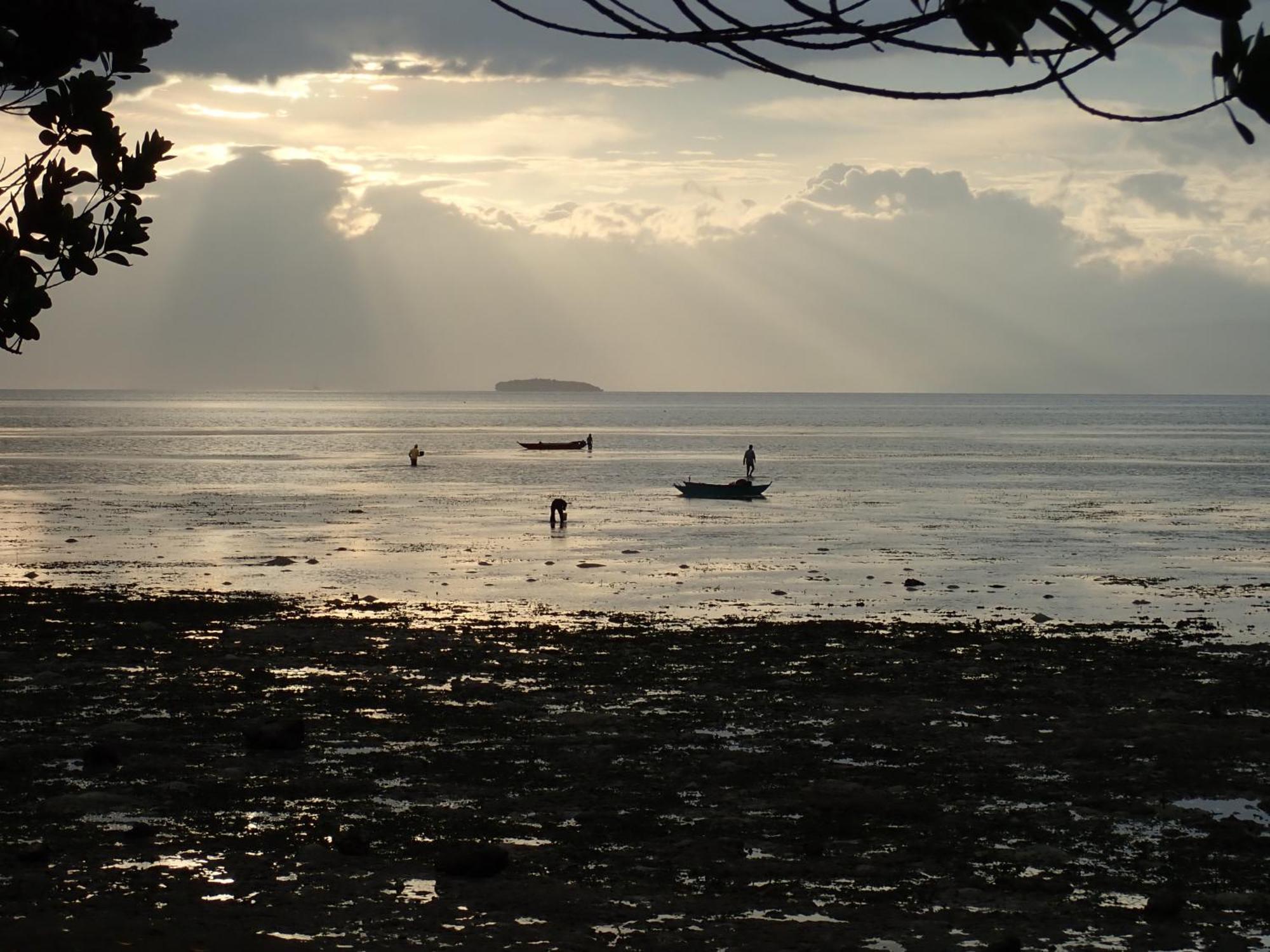 Eskapo Verde Lodge Moalboal باديان المظهر الخارجي الصورة