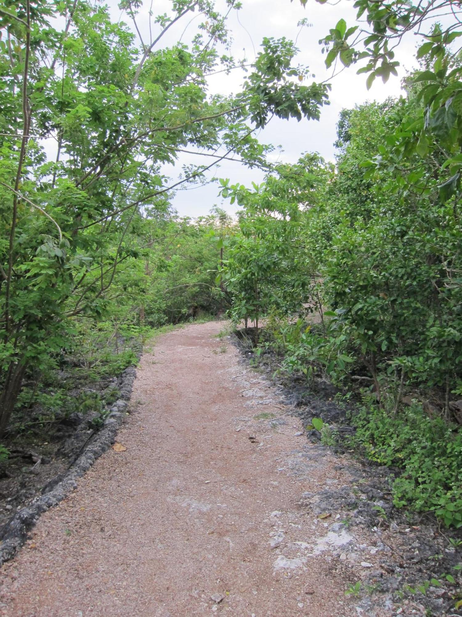Eskapo Verde Lodge Moalboal باديان المظهر الخارجي الصورة