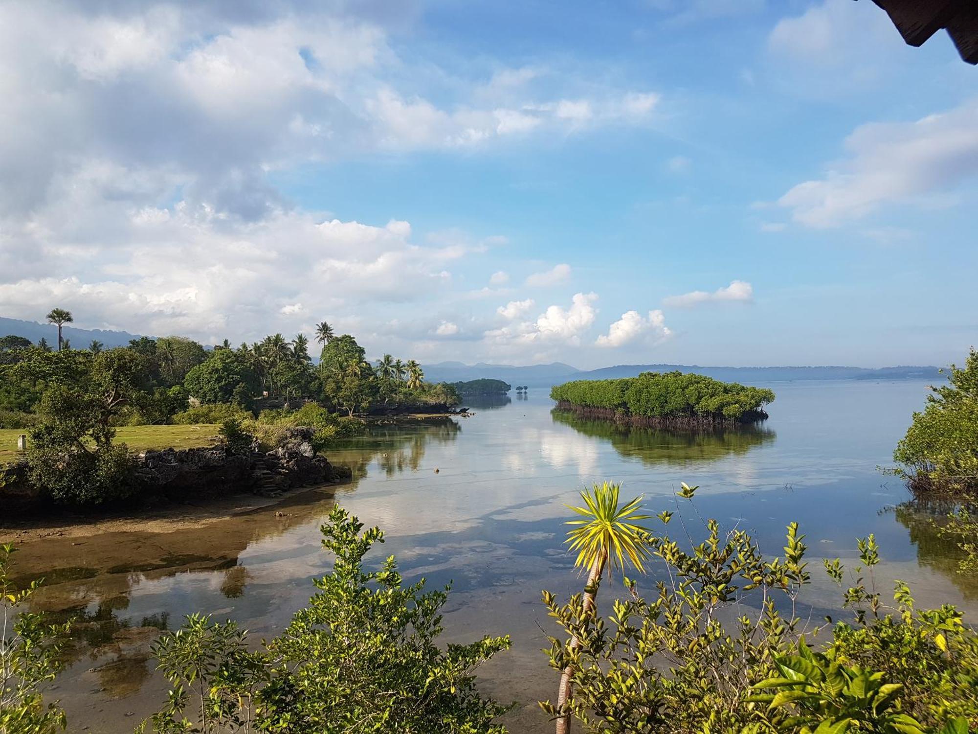 Eskapo Verde Lodge Moalboal باديان المظهر الخارجي الصورة
