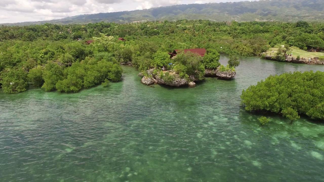 Eskapo Verde Lodge Moalboal باديان المظهر الخارجي الصورة
